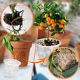 thumbnail image 1 of Sentmoon Plants Pots Outdoor Plantser Clear Orchid Flower Pot Plastic Slotted Breathable Pot Hydroponic Indoor Outdoor Plantser Plants Root Health Container, 1 of 7