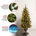 thumbnail image 4 of National Tree Company 4 ft. Glittery Gold Pine Entrance Tree with Clear Lights, 4 of 5
