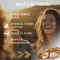 thumbnail image 4 of NAIMA 8 Mushroom Complex,100 Cápsulas| Mezcla 100% Natural de Cordyceps,Reishi,Melena de León, Chaga,Shiitake, 4 of 4
