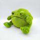 thumbnail image 5 of 16cm Ricky Rain Frog Creative Doll Juguete de peluche Big Green Frog Doll Alta calidad ER, 5 of 5