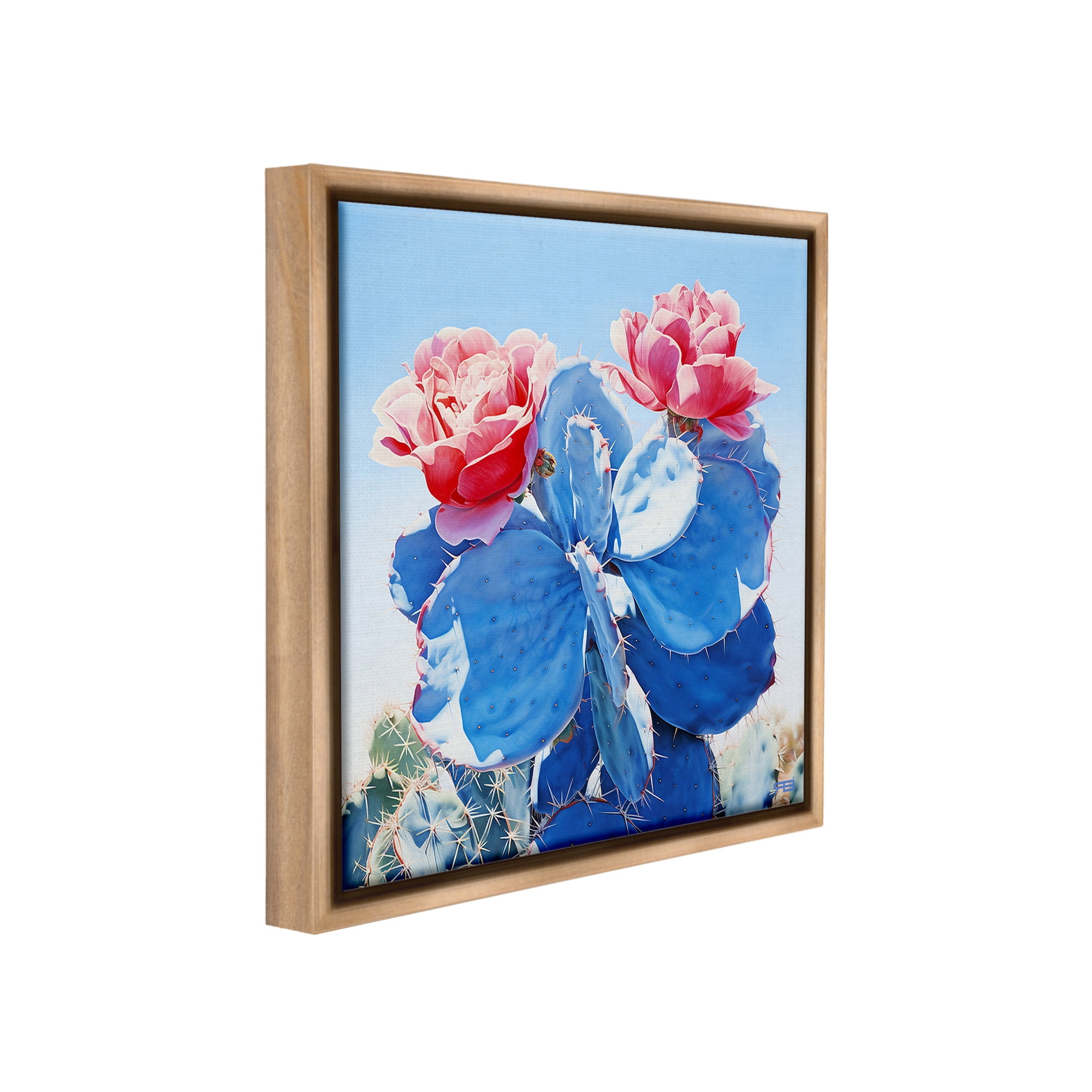 Stupell Industries Twin Cactus Blossoms Botanical & Floral Painting Brown Floater Framed Canvas Art Print Wall Art, 25 x 25