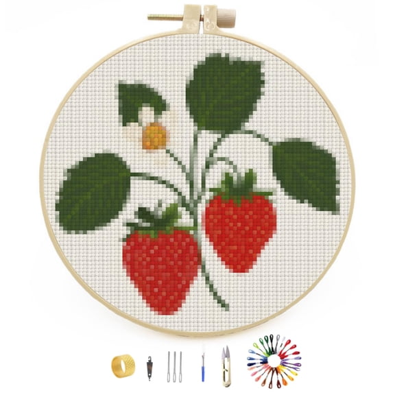 Red Strawberry Plant Stamped Cross Stitch Kits for Beginners with Hoop Simple Patterns 11CT Counted Embroidery Needlepoint Crafts Arts for DIY Enthusiasts and Home Decor 26x26cm(1)