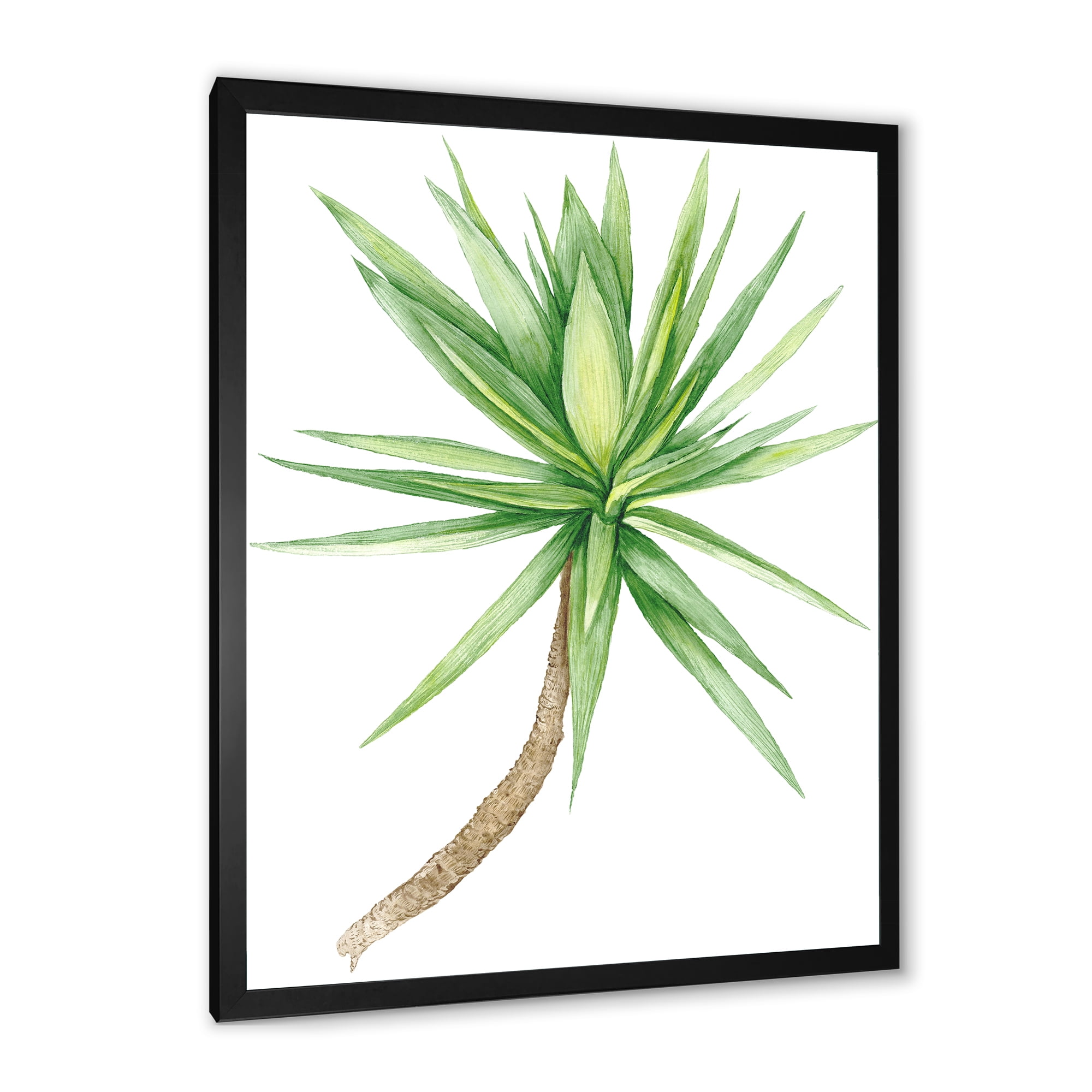 Designart 'Close Up Of Yucca Tree' Traditional Framed Art Print