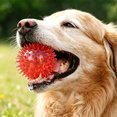 thumbnail image 3 of Squeaky Spiky Dog Ball Toy Floating Bouncy Dental Teeth Cleaning Chew Ball for Small Medium Dogs Interactive Play Ball Toy,1pack,Red, 3 of 3