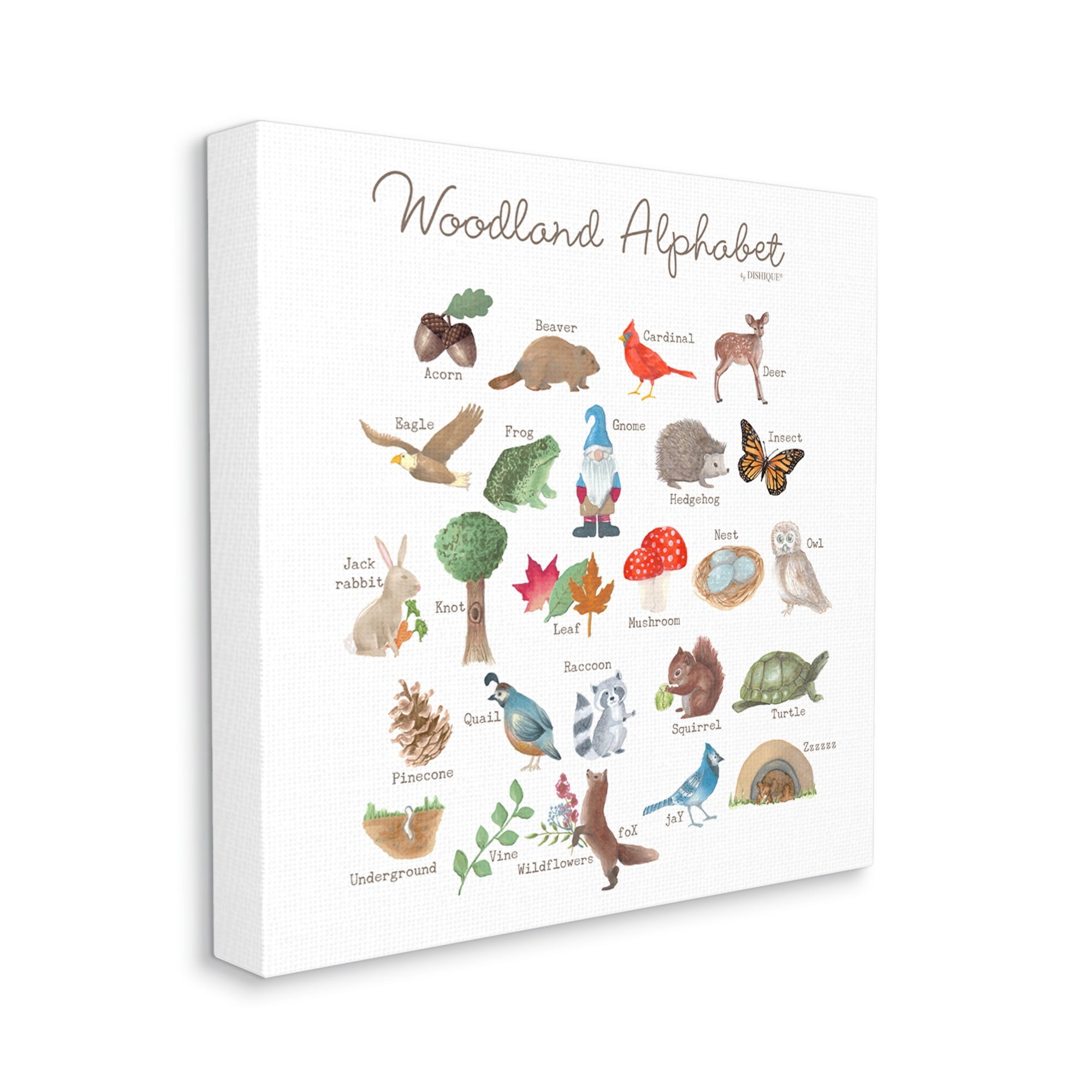 Stupell Industries Woodland Alphabet Wildlife Botanicals Learning Forest Creatures Graphic Art Gallery Wrapped Canvas Print Wall Art, Design by Dishique