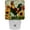 Multi-colored 3, variant on PhooArto Farmhouse Rooster Sunflowers Plug in LED Night Light Auto Sensor Dusk to Dawn Decorative Night for Bedroom, Bathroom, Kitchen, Hallway, Stairs, Baby's Room, Energy Saving