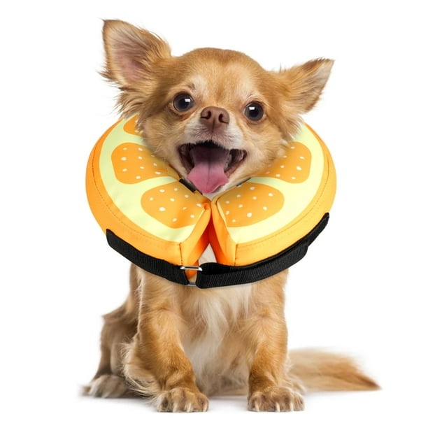 Dog cone for chihuahua outlet