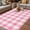 HotPink, variant on Pink Buffalo Check Outdoor Rug for Patio/Deck/Porch, Non-Slip Large Area Rug 5 x 8 Ft, Valentine's Day Modern Rustic Plaid Indoor Outdoor Rugs Washable Area Rugs, Reversible Camping Rug Carpet Runner