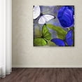 thumbnail image 4 of Trademark Fine Art "Morphos Two" Canvas Art by Color Bakery, 4 of 4