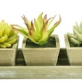 thumbnail image 4 of K-Cliffs Faux Rustic Wooden Succulent Planter Arrangement| of Cactus, Aloe Vera, 4 of 5