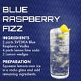 thumbnail image 3 of Svedka Blue Raspberry Vodka, 750ml 70 Proof, 3 of 9