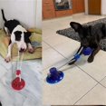 thumbnail image 2 of Juguete para mascotas Cachorro Molar Bite Toy Cuerda elástica Suministros para masticar perros/b/un tamaño, 2 of 4