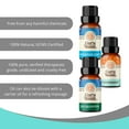 GuruNanda Breathe Essential Oil Blends for Congestion, Sinus