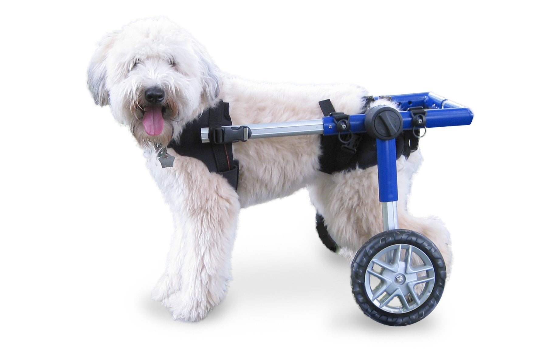 Dog Wheelchair for Medium Dogs 2649 Pounds Veterinarian Approved