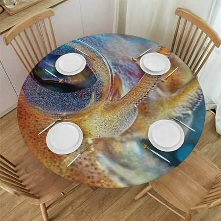 

Patifu Squid Bubbles Round Tablecloth 100% Polyester Stain-Resistant Washable Indoor Outdoor Table Cloth Ideal for Restaurants Weddings Parties 31 -35