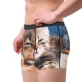 thumbnail image 4 of Fotbe Playful Cat Men’s Total Support Pouch Boxer Briefs, X-Temp Cooling, Moisture-Wicking Underwear, Regular, Long-leg and Trunk-Medium, 4 of 9