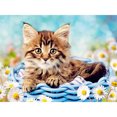 thumbnail image 1 of Pintura de diamante de resina cuadrada, serie Animal de gato con diamantes completos, DW04486, 1 of 9