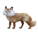 thumbnail image 5 of Estatuil de Zorro de Polietileno Decoración de Jardín Animales Artificiales DIY CUTICAT Estatua animal artificial, 5 of 5