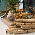 thumbnail image 2 of ProFlora Decorative Birch Logs 16" Pack of 3, 2 of 5