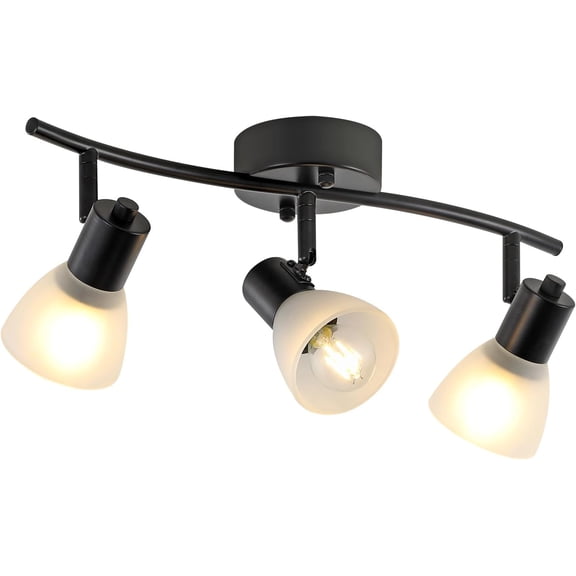 3 Light Track Lighting Fixtures Ceiling,Adjustable Directional Ceiling Lights with Glass Shade,Industrial Ceiling Spotlight for Kitchen Over Sink Bedroom Hallway Living Room,E12base