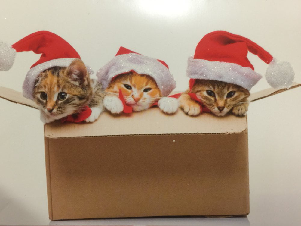 Cats Cat SANTA HATS Christmas Postcards or Flat Cards Env 