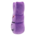 thumbnail image 4 of 15In Purple Peeps Plush for Adult and Child, Easter, 4 of 5