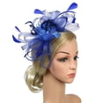 thumbnail image 4 of Baberdicy Women's Dual Fascinator - Clip & Headband Convertible - Wedding/Church Hat - Feather & Mesh Design - Value Pack A,One Size, 4 of 8