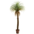 thumbnail image 1 of Nearly Natural 6.5ft. Molina Artificial Plant, 1 of 2