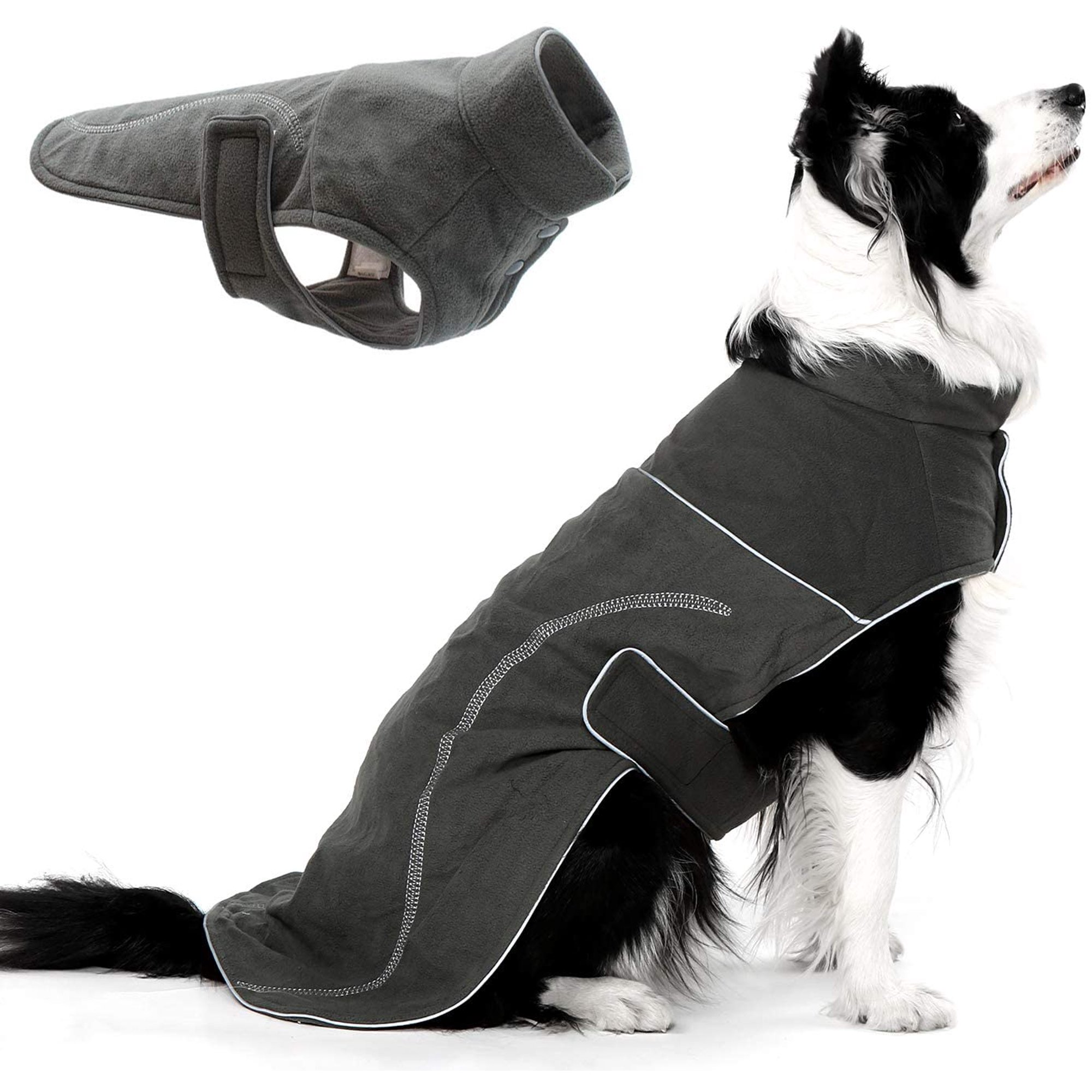 When Should I Put A Coat On My Dog
