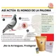 thumbnail image 4 of Veneno Ya Preparado Plaga De Aves Y Palomas Eficaz 1kg, 4 of 8