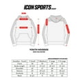thumbnail image 3 of Icon Sports Boy's Youth Pullover Hoodie – Official Liverpool FC Soccer Football Club Team Casual Long Sleeve Sweatshirt Sports Active Top, 3 of 3