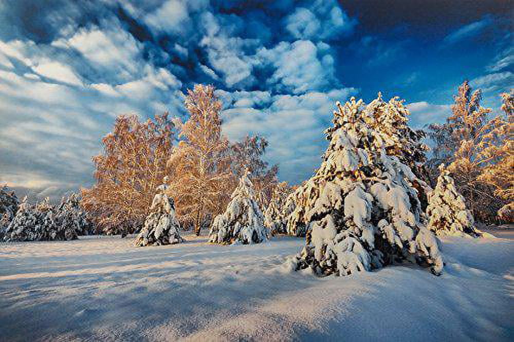 8.5" X 11" Cold Press Watercolor Fine Art Inkjet Paper - 5 Sheets