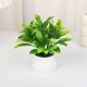 thumbnail image 1 of Zhuge piezas de plantas de simulación en maceta, pequeñas plantas falsas en maceta, mini plantas artificiales de escritorio (A09), 1 of 5