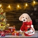 thumbnail image 5 of Disfraz navideño para mascotas - Traje navideño para perros y gatos pequeños y medianos (mediano) Rojo Verde Cocina, Decoración y Otros, 5 of 5
