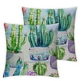 thumbnail image 2 of Awypu Succulents Cactus Pillow Covers Art Potted with Tropical Cactus Flowers Throw Pillow Covers Cushion Case for Home Sofa Decorative,2 Pcs White, 2 of 6