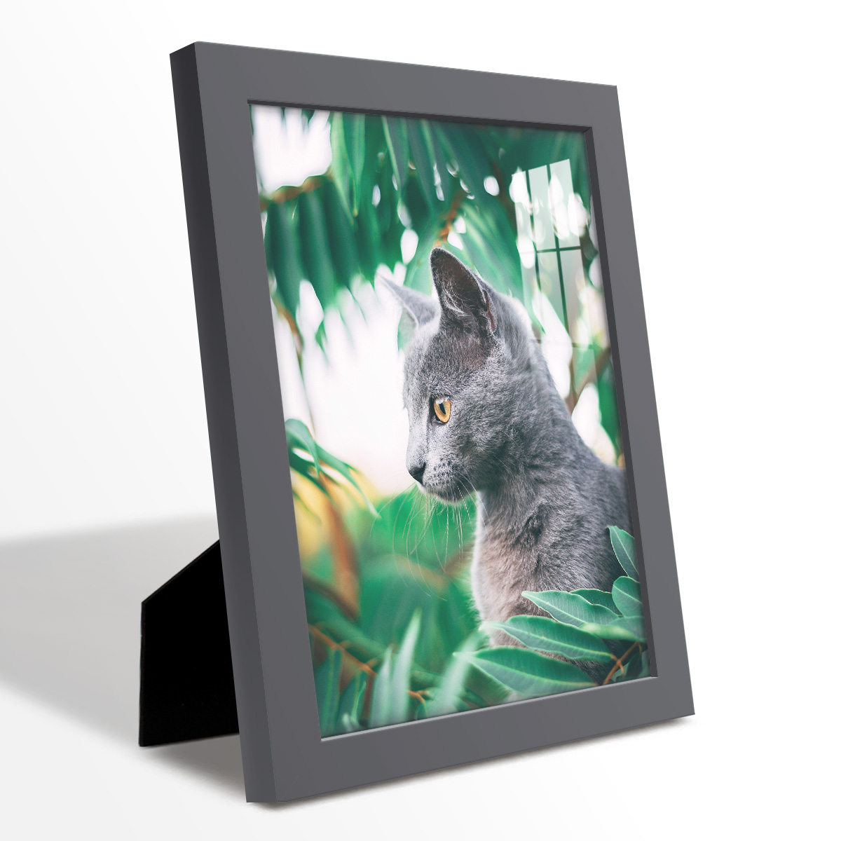 Modern 8 in. x 10 in. Grey Picture Frame (Set of 4)