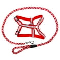 thumbnail image 2 of CUECUEPET Braided Choke Free Reflective Dog Harness and Leash for Daytime and Evening Walking, 2 of 5