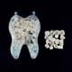 thumbnail image 1 of 1 caja de corona dental para blanquear los dientes, corona dental temporal de porcelana de resina (2 Ehuebsd Para estrenar, 1 of 7