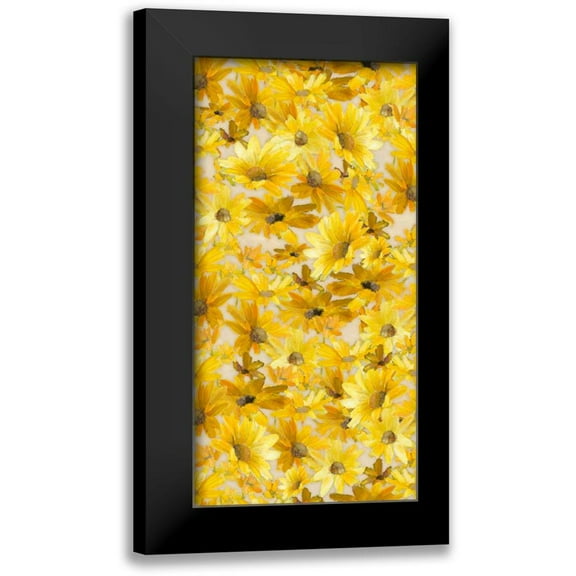 Loreth, Lanie 9x14 Black Modern Framed Museum Art Print Titled - Daisy Pattern