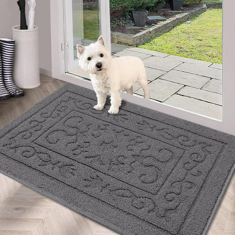 Indoor Doormat Front Door Mat for Entrance, Machine Washable