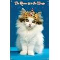 thumbnail image 4 of Keith Kimberlin - Kitten - Queen Wall Poster with Push Pins, 14.725" x 22.375", 4 of 6