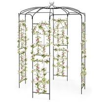 Patiojoy Birdcage Shape Garden Arch 9.4 x 6.8FT Heavy Duty Arch Trellis with Hanging Hook for Climbing Plants