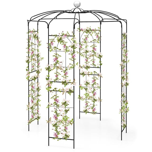 Patiojoy Birdcage Shape Garden Arch 9.4 x 6.8FT Heavy Duty Arch Trellis with Hanging Hook for Climbing Plants