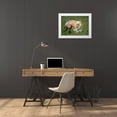 thumbnail image 3 of Ji, Shirley 24x18 White Modern Wood Framed Museum Art Print Titled - Foxes, 3 of 4