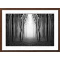 thumbnail image 2 of Art.com Dark Woods Photographic Print by PhotoINC, Brown Frame Wall Art, 29" x 21", 2 of 5