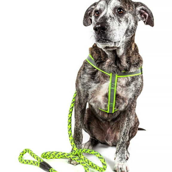 Pet Life ® 'Easy Tension' Reflective Stitched Adjustable 2-in-1 Pet Dog Leash and Harness
