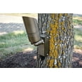 thumbnail image 5 of Tree Bracket in Centennial Brass, 5 of 7