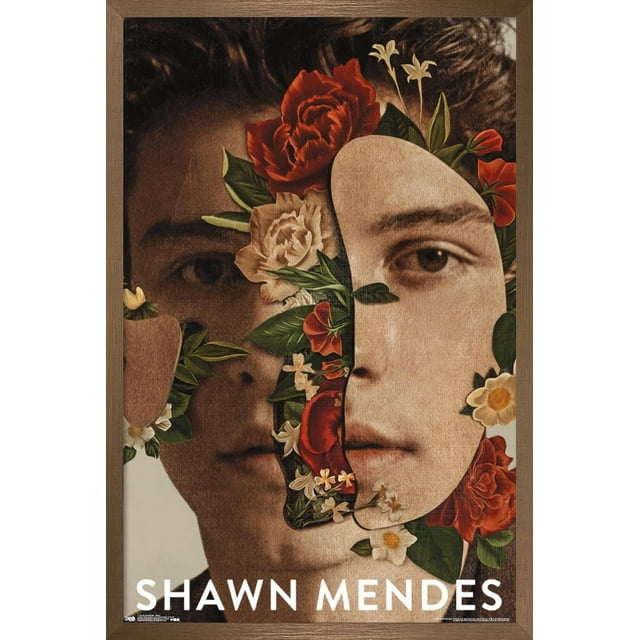 Shawn Mendes - Fleurs