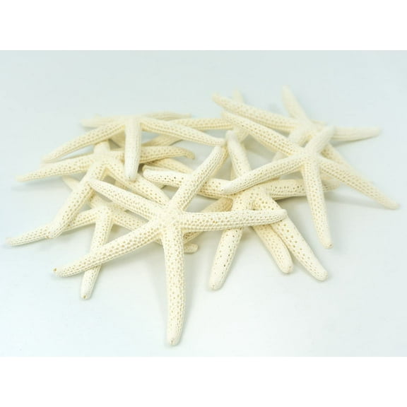Starfish, 10 White Finger Starfish 3"-4" for Star Fish Craft and Decor