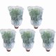 thumbnail image 1 of 5 Packs Of Garden Plant Protection Nets with Rope, for Vegetable, 1 of 5
